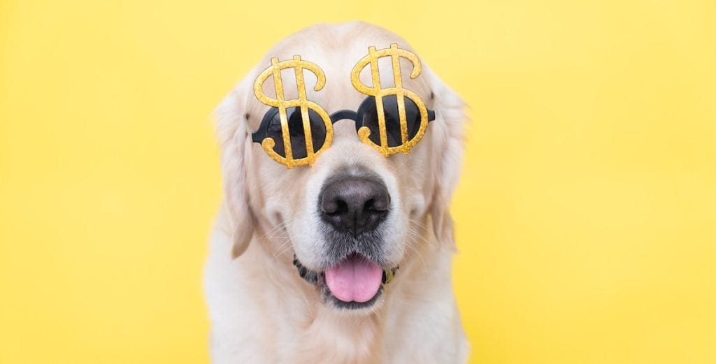 Underdog's Journey: From DFS Startup to $1.3B Prediction Markets